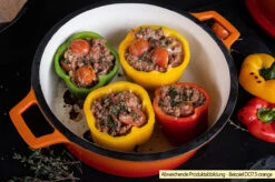 Grillfürst Emaillierter Dutch Oven Ohne Füsse DO9 - Orange -Flammengrill Grillfuerst Dutch Oven emailliert Beispiel DO7 5 orange