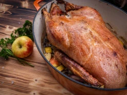 Grillfürst Dutch Oven Sternentöpfchen / Gusseisen Bräter - Emailliert - XL - Orange -Flammengrill Grillfuerst Gaensebraeter Sternentoepfchen