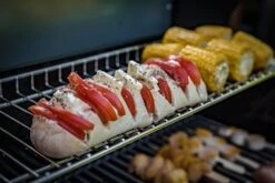 Grillfürst G210G Grill Control Edition 2-Brenner Gasgrill Mit Grill Control, Hochtemperaturbrenner Und Gusseisen Rosten -Flammengrill Grillfuerst Gasgrill G210G Warmhalterost Baguette Mais