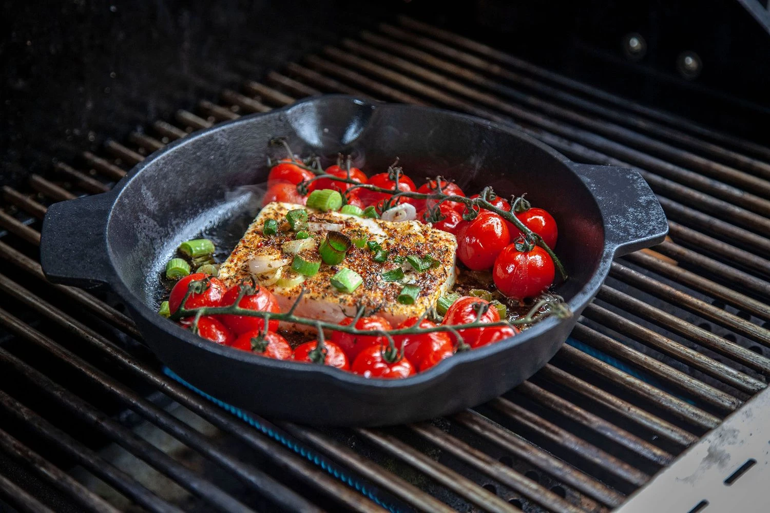 Grillfürst Gusseisenpfanne Mit 2 Griffen Ø 25 Cm 1 Grillfürst Gusseisenpfanne Mit 2 Griffen Ø 25 Cm