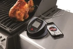 Napoleon ACCU-PROBE Bluetooth Grillthermometer 6 Napoleon ACCU-PROBE Bluetooth Grillthermometer -Flammengrill Napoleon Accu Probe Grillthermometer Anwendung